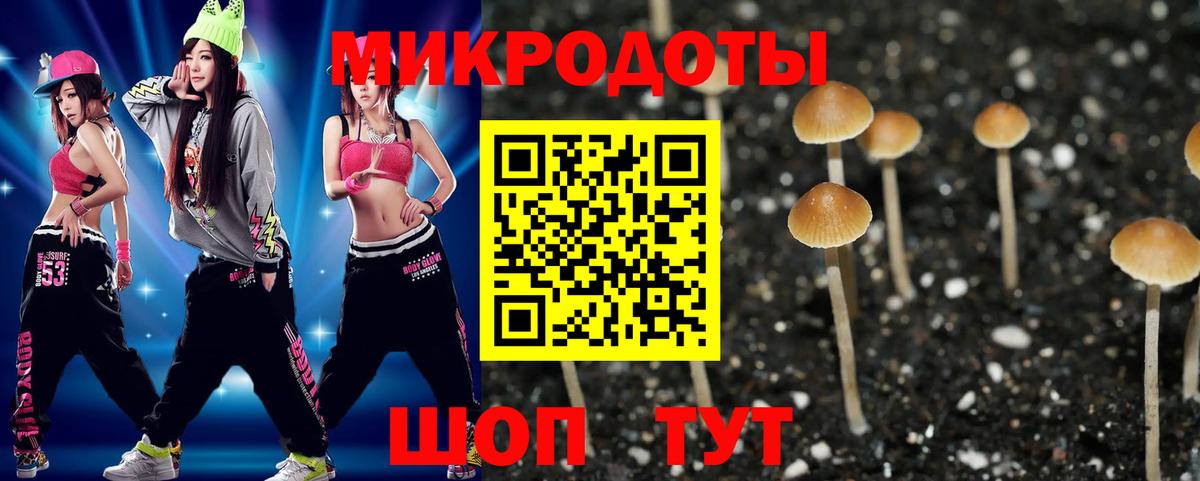 Старая Купавна  Псилоцибиновые грибы ЛСД  Вход с VPN 